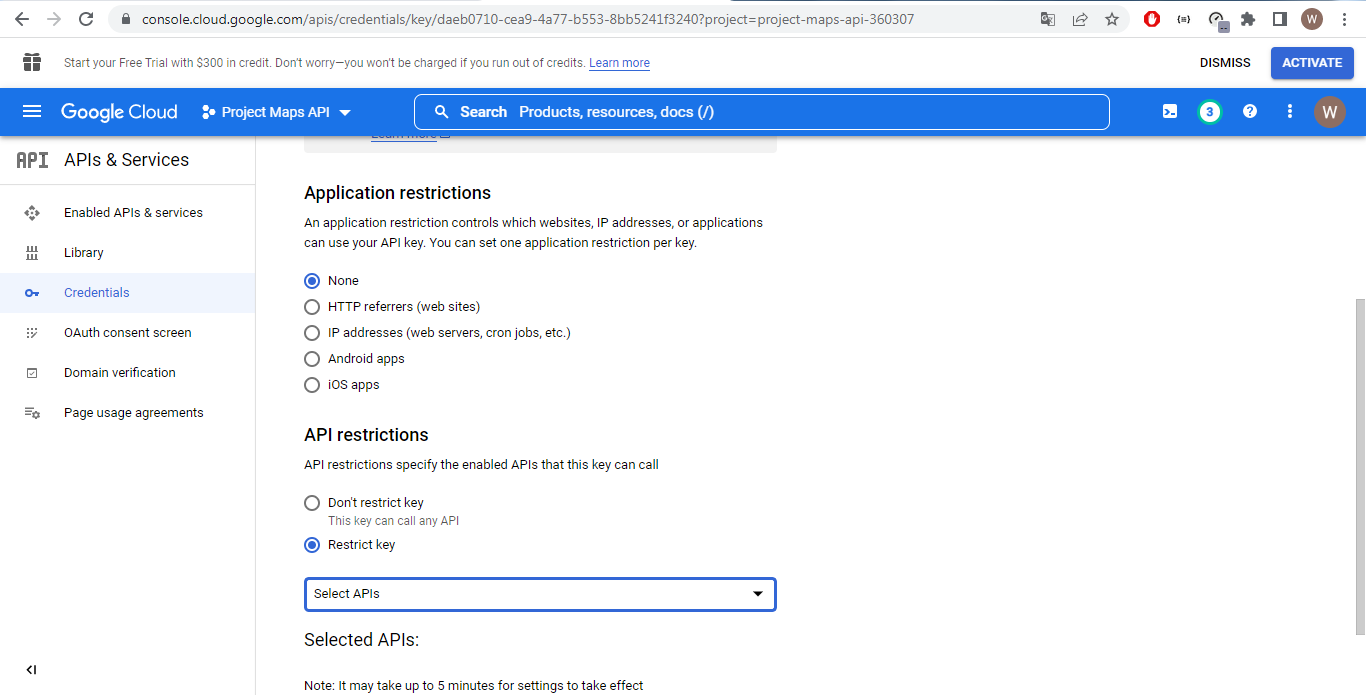 maps api