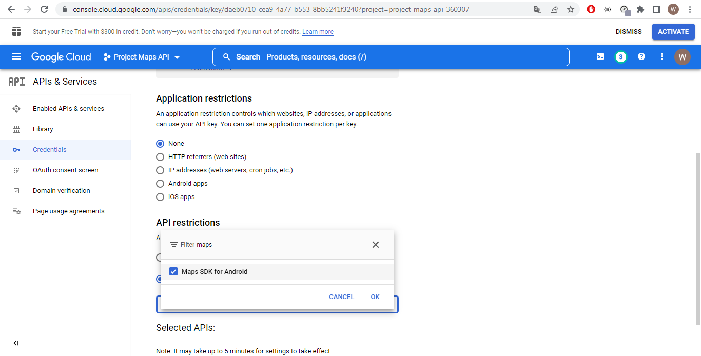 maps api