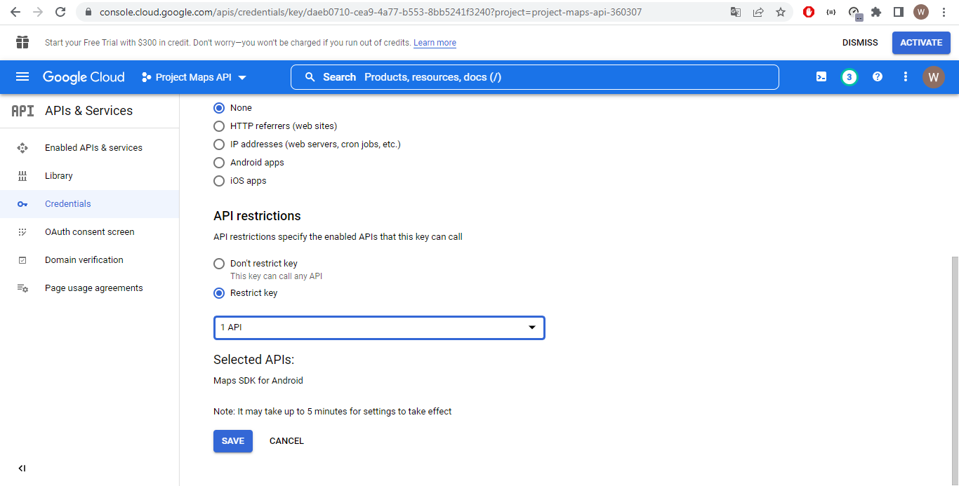 maps api