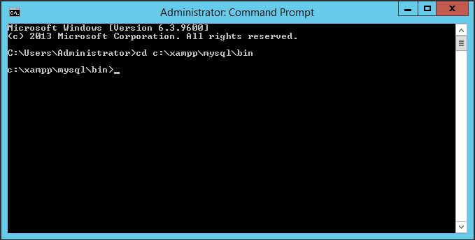 install xampp